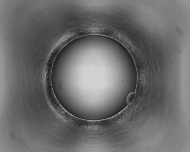 X0000113020730200908271433
