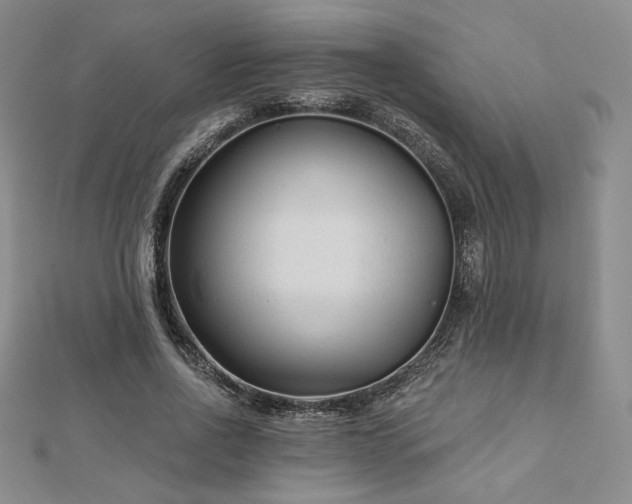 X0000113020734200908271433