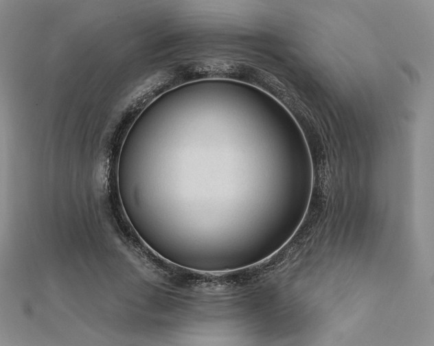 X0000113020735200908271433