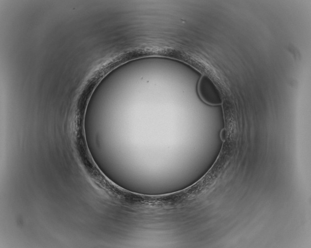 X0000113020736200908271433