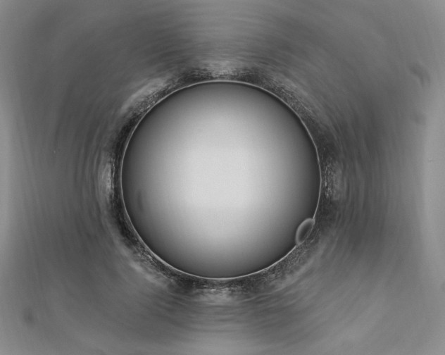 X0000113020740200908271433