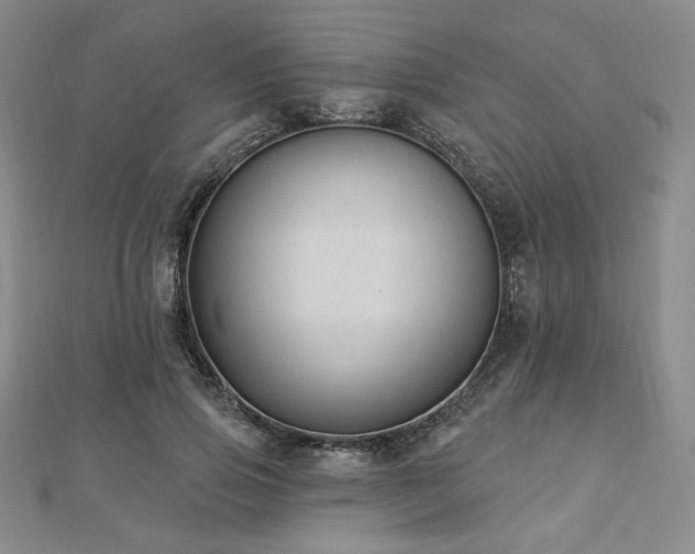 X0000113020741200908271433