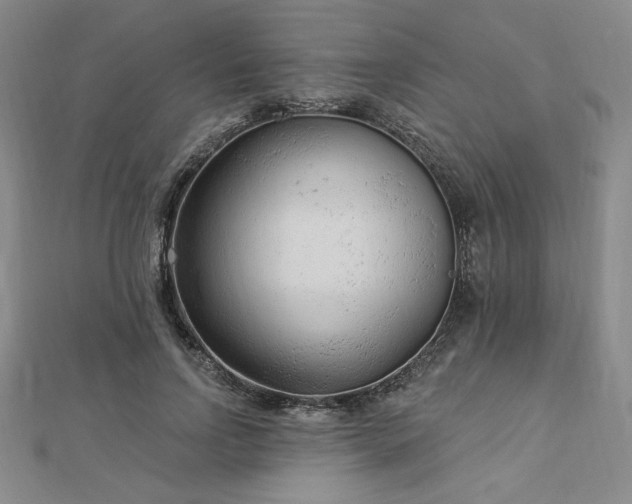 X0000113020742200908271433