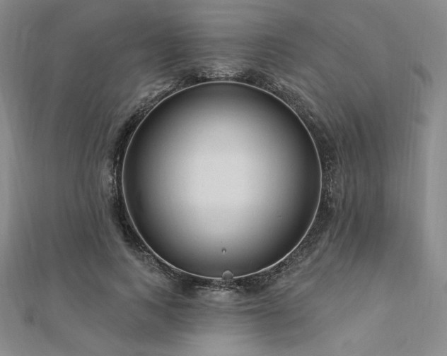 X0000113020743200908271433