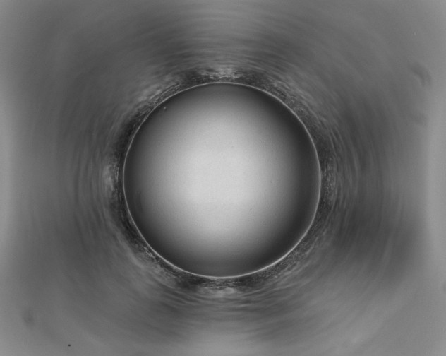 X0000113020747200908271433