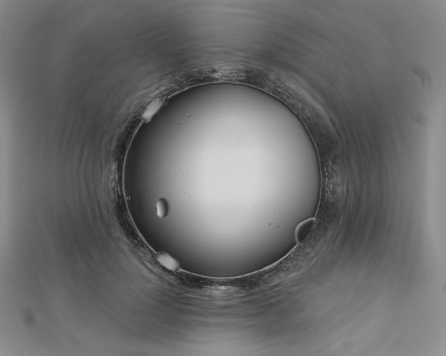 X0000113020748200908271433