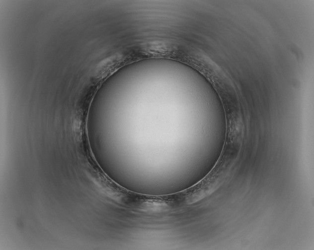 X0000113020749200908271433