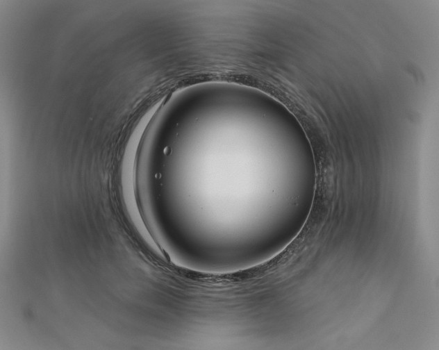 X0000113020750200908271433