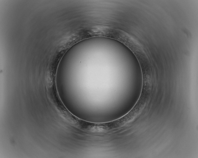 X0000113020751200908271433