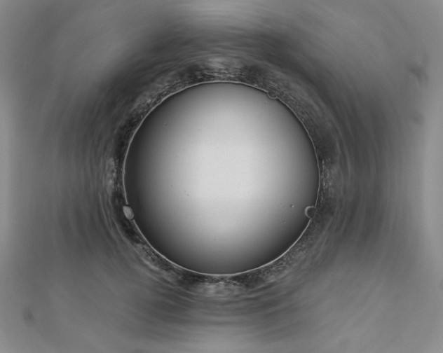 X0000113020752200908271433