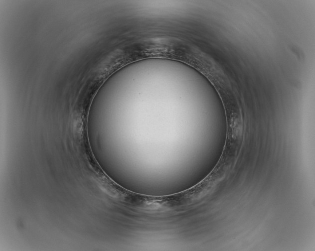X0000113020753200908271433