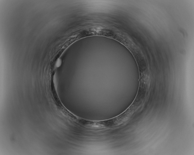 X0000113020754200908271433