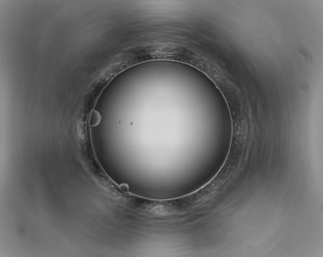 X0000113020755200908271433