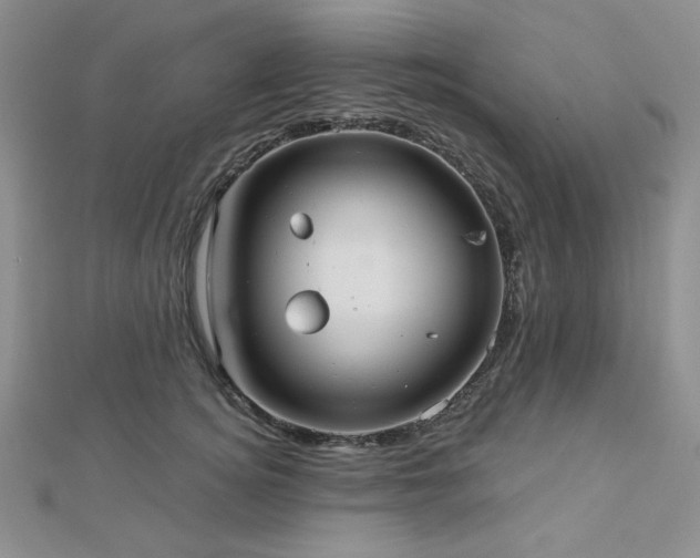 X0000113020756200908271433