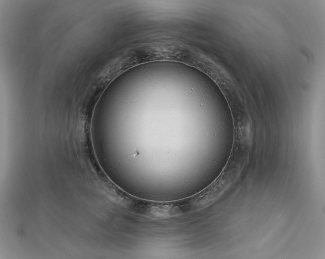 X0000113020757200908271433