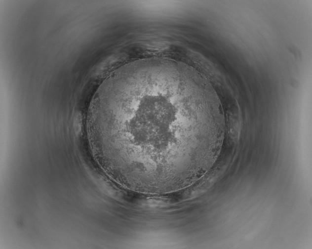 X0000113020758200908271433