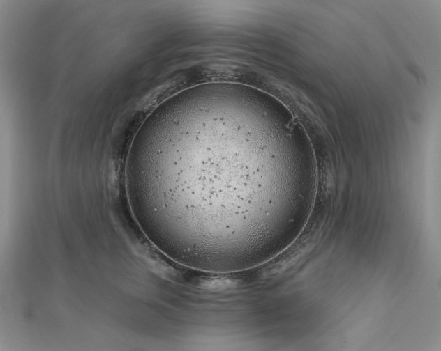 X0000113020759200908271433