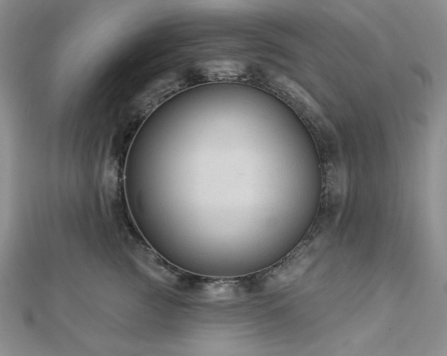 X0000113020761200908271433