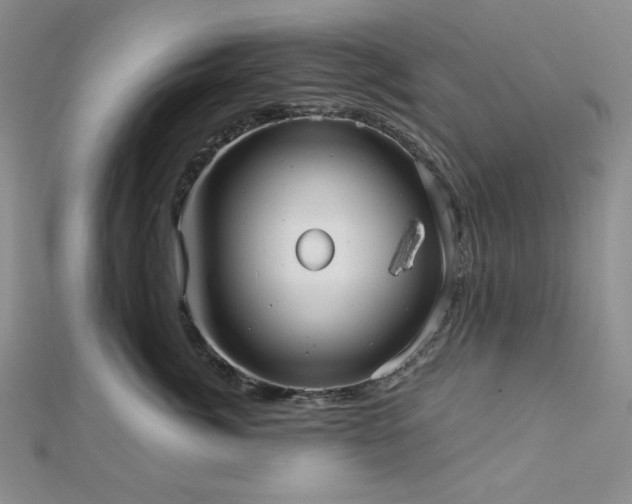 X0000113020764200908271433