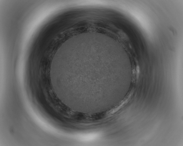 X0000113020765200908271433
