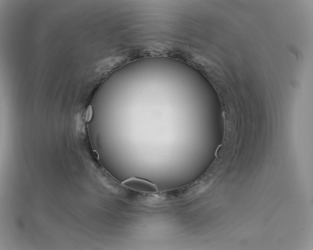 X0000113020768200908271433
