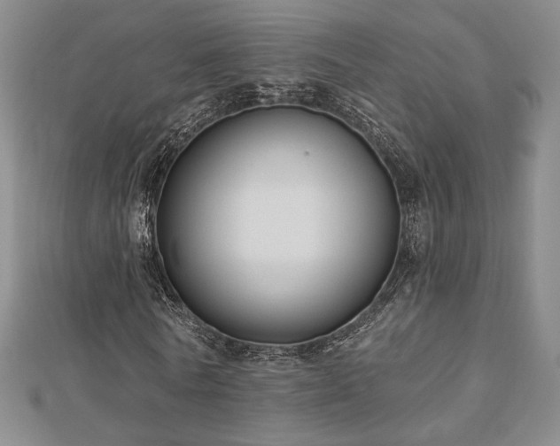 X0000113020770200908271433