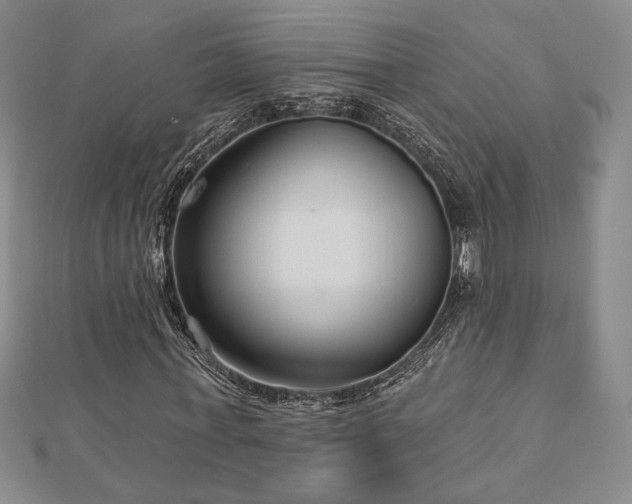 X0000113020771200908271433