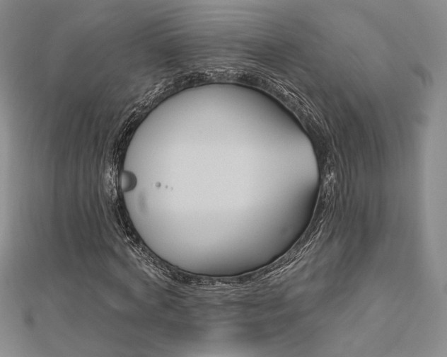 X0000113020772200908271433