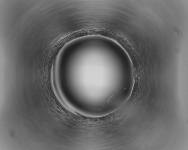 X0000113020773200908271433
