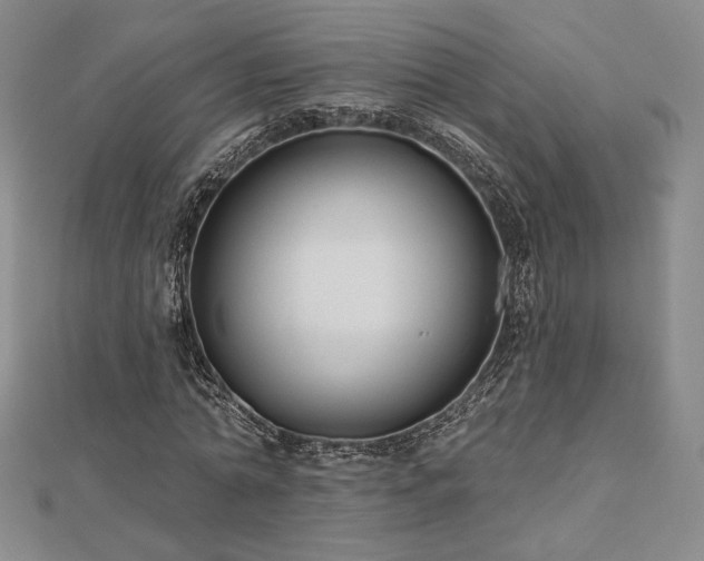 X0000113020774200908271433