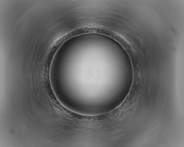 X0000113020775200908271433