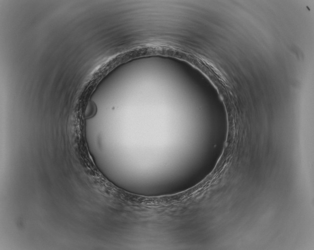 X0000113020776200908271433