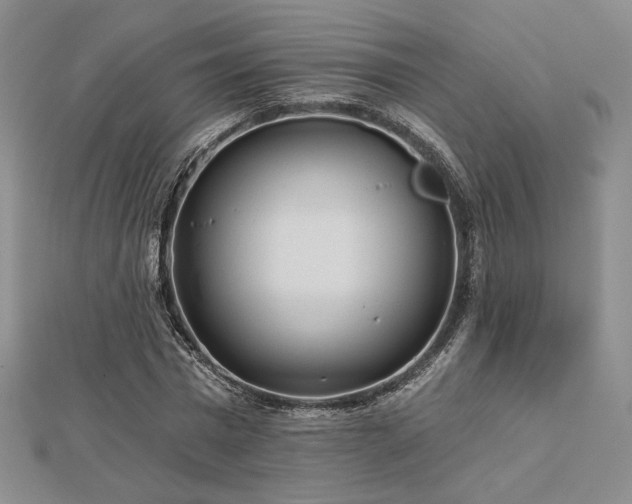 X0000113020777200908271433
