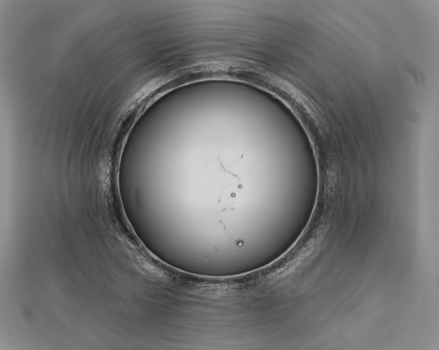 X0000113020778200908271433