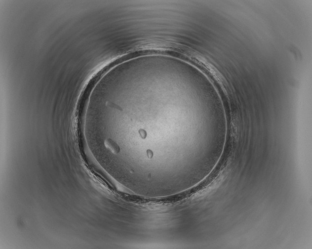 X0000113020779200908271433