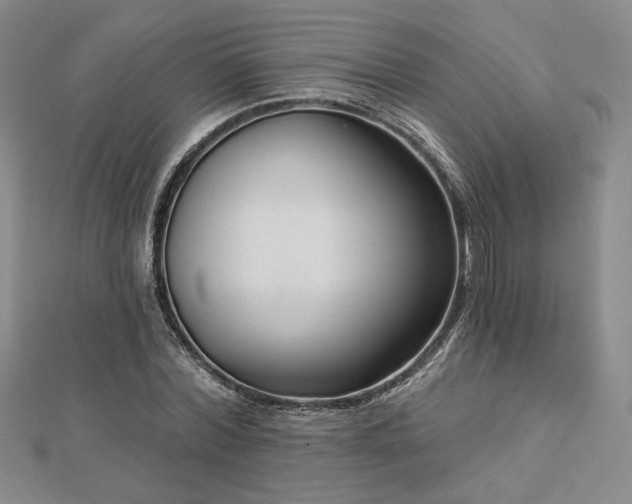 X0000113020780200908271433