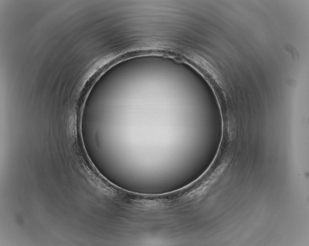 X0000113020781200908271433