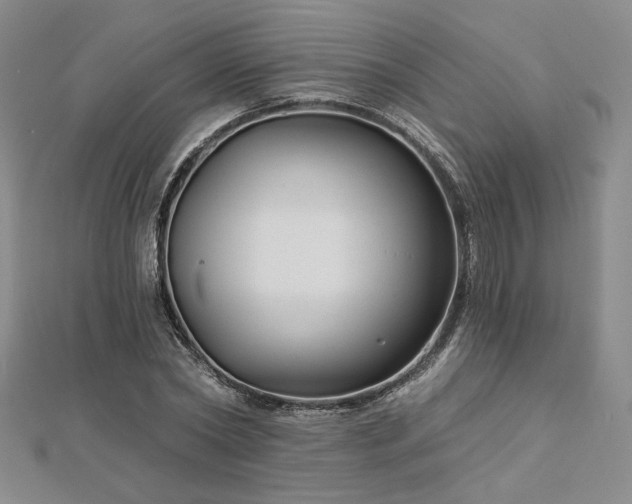 X0000113020782200908271433