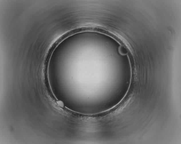 X0000113020783200908271433