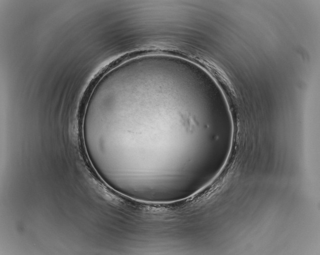 X0000113020784200908271433