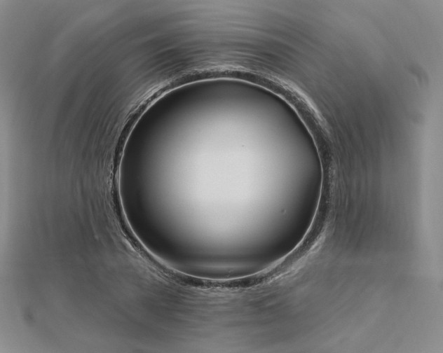 X0000113020785200908271432