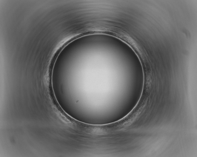 X0000113020787200908271432