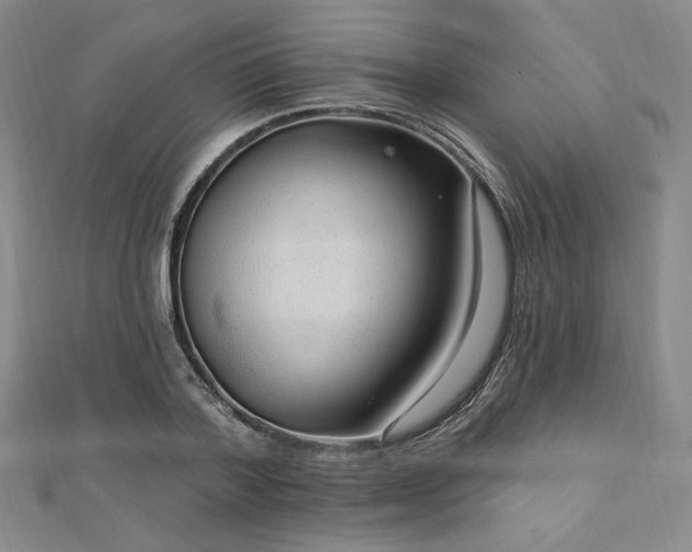 X0000113020788200908271432