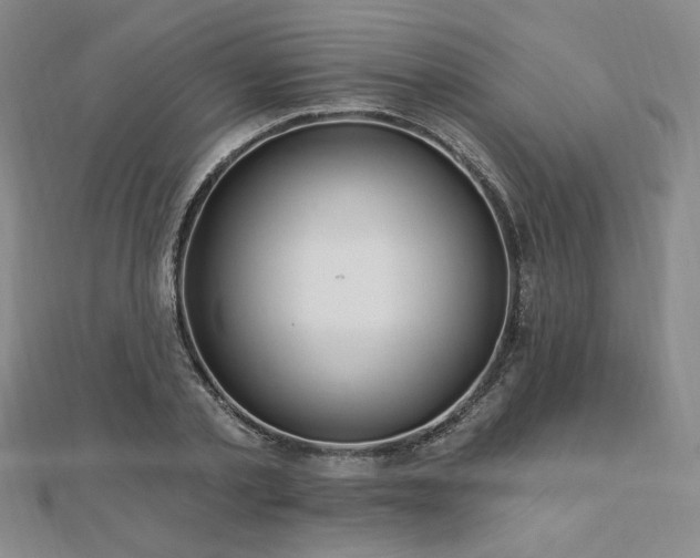 X0000113020789200908271432