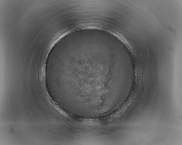 X0000113020790200908271432