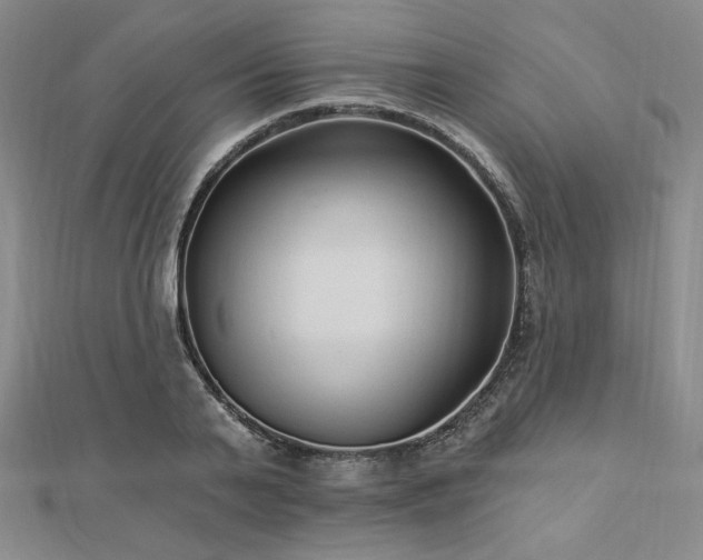 X0000113020791200908271432