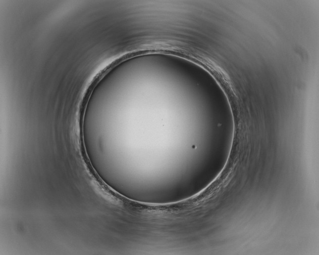 X0000113020792200908271432