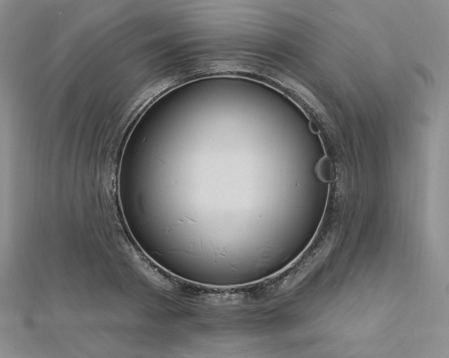 X0000113020793200908271432