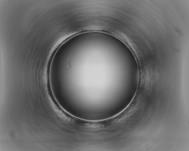 X0000113020795200908271432