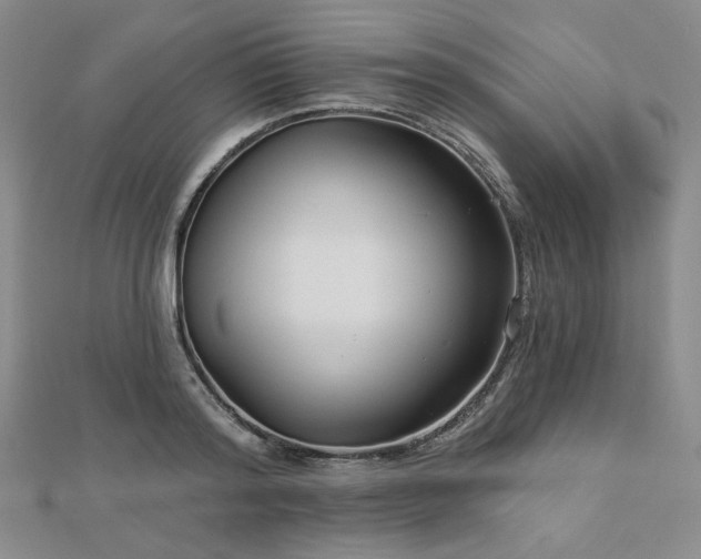 X0000113020796200908271432
